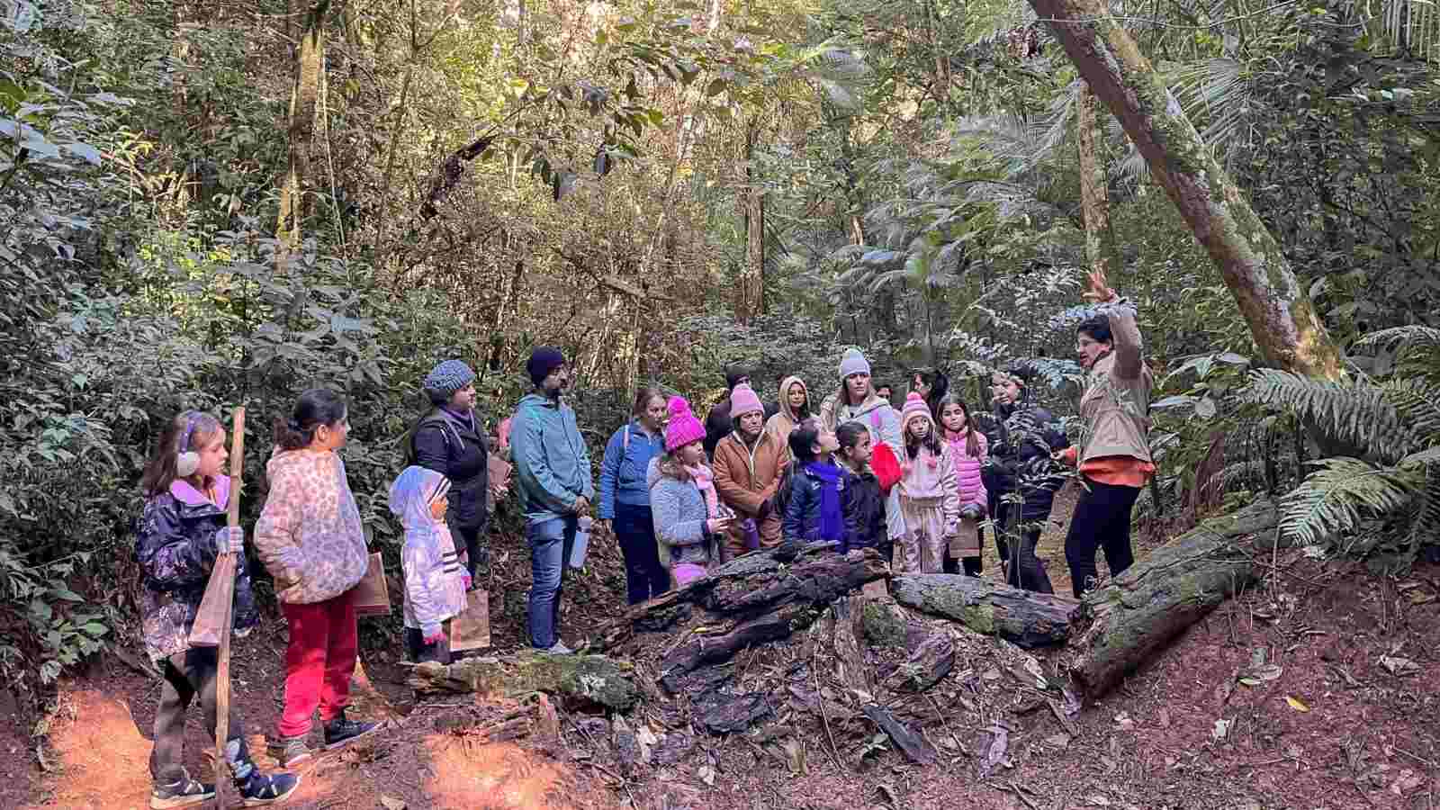 Crianças em trilha na Serra do Japi.