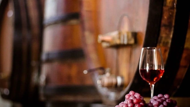 Taça de vinho tinto e uvas em adega com barris de madeira em Jundiaí.