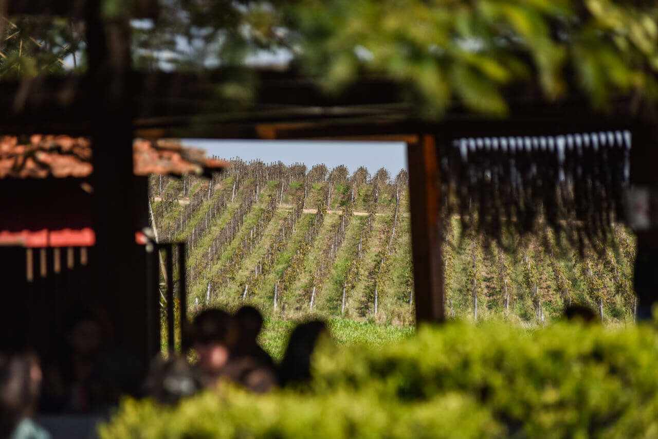 Jundiaí se destaca como destino para o Turismo Rural.