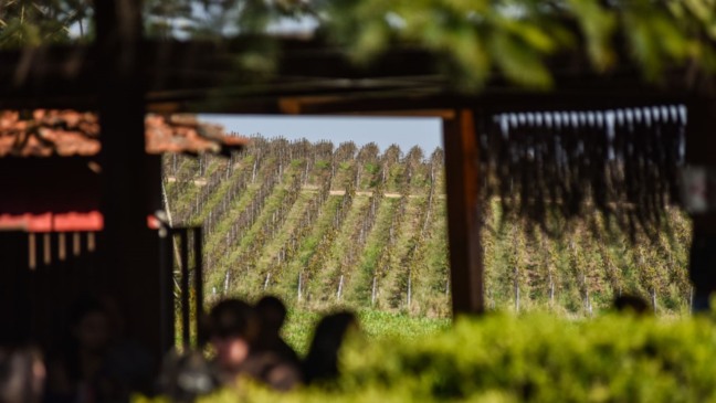 Foto: Prefeitura de Jundiaí