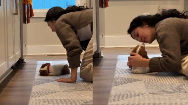 tutora compartilha forma fofa que acorda seu cachorro surdo