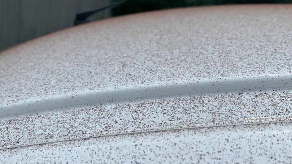 Chuva de chocolate deixou carros cobertos de chocolate na Suíça