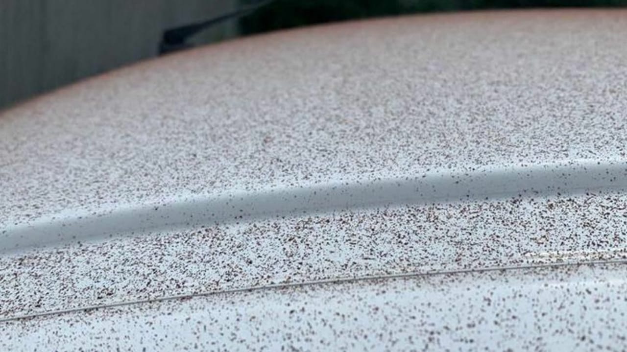 Chuva de chocolate deixou carros cobertos de chocolate na Suíça