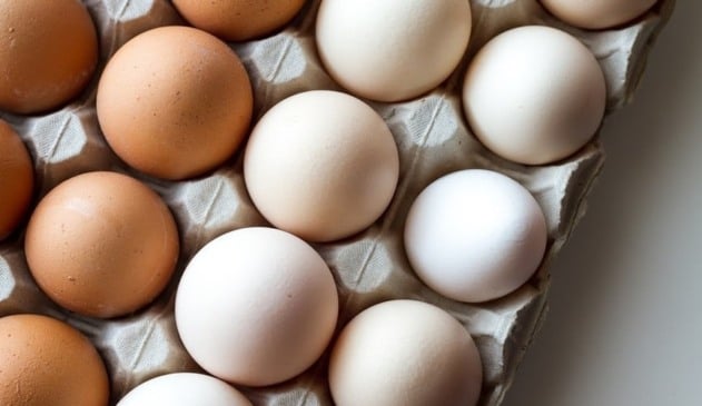 Foto de bandeja de ovos