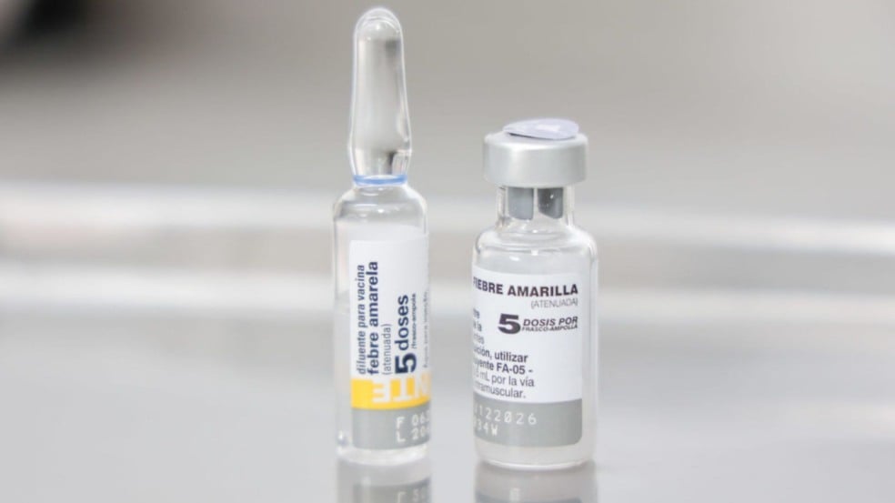 Vacina da Febre Amarela.