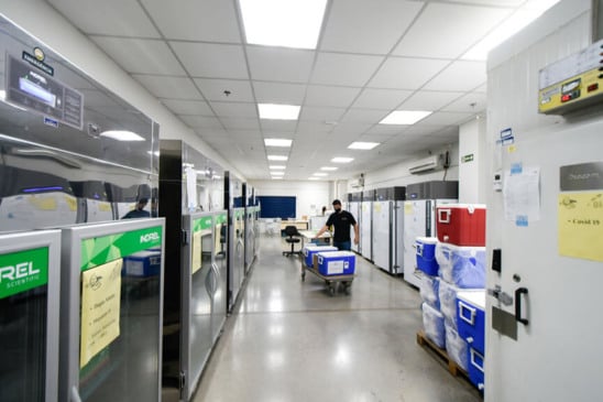 Vacinas contra Covid-19. (Foto: Divulgação)