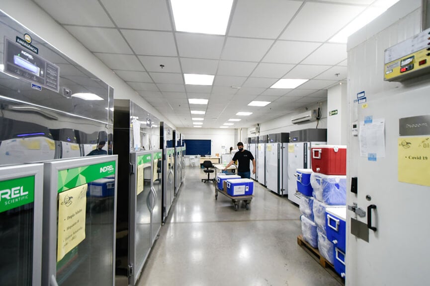 Vacinas contra Covid-19. (Foto: Divulgação) Vacinas contra Covid-19. (Foto: Divulgação)