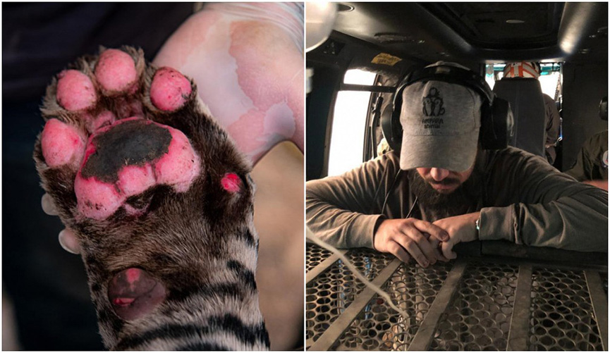 Veterinário Jorge Salomão. (Foto: Divulgação)