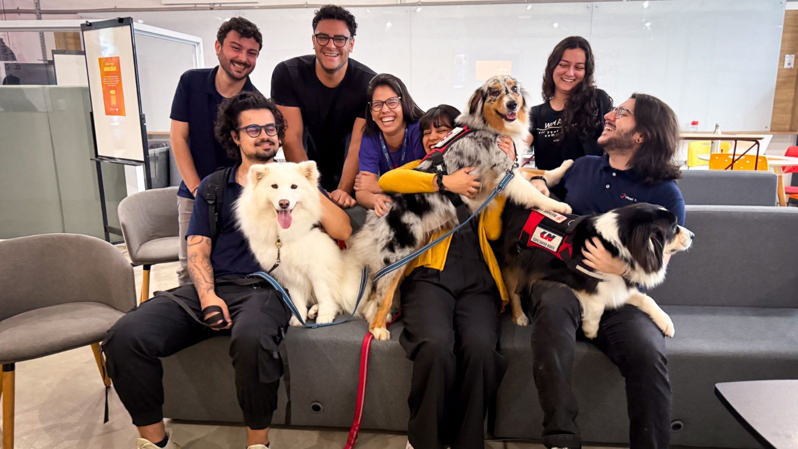 Grupo de colaboradores da Viceri SEIDOR sorrindo e interagindo com cães terapeutas durante ação do Setembro AUmarelo em Jundiaí.