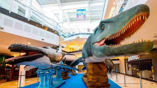 Exposição Fantástico Mundo Marinho