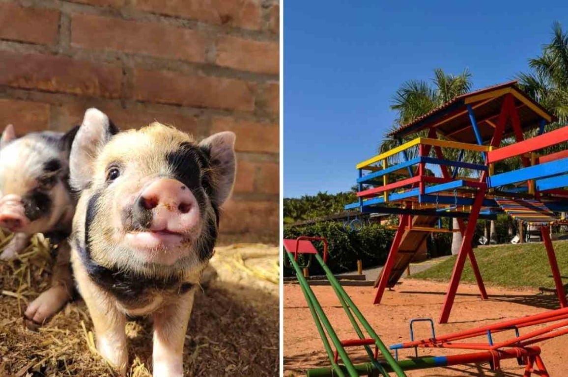 Foto: Villa Brunholi/Divulgação Foto: Villa Brunholi/Divulgação