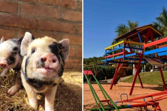 Foto: Villa Brunholi/Divulgação