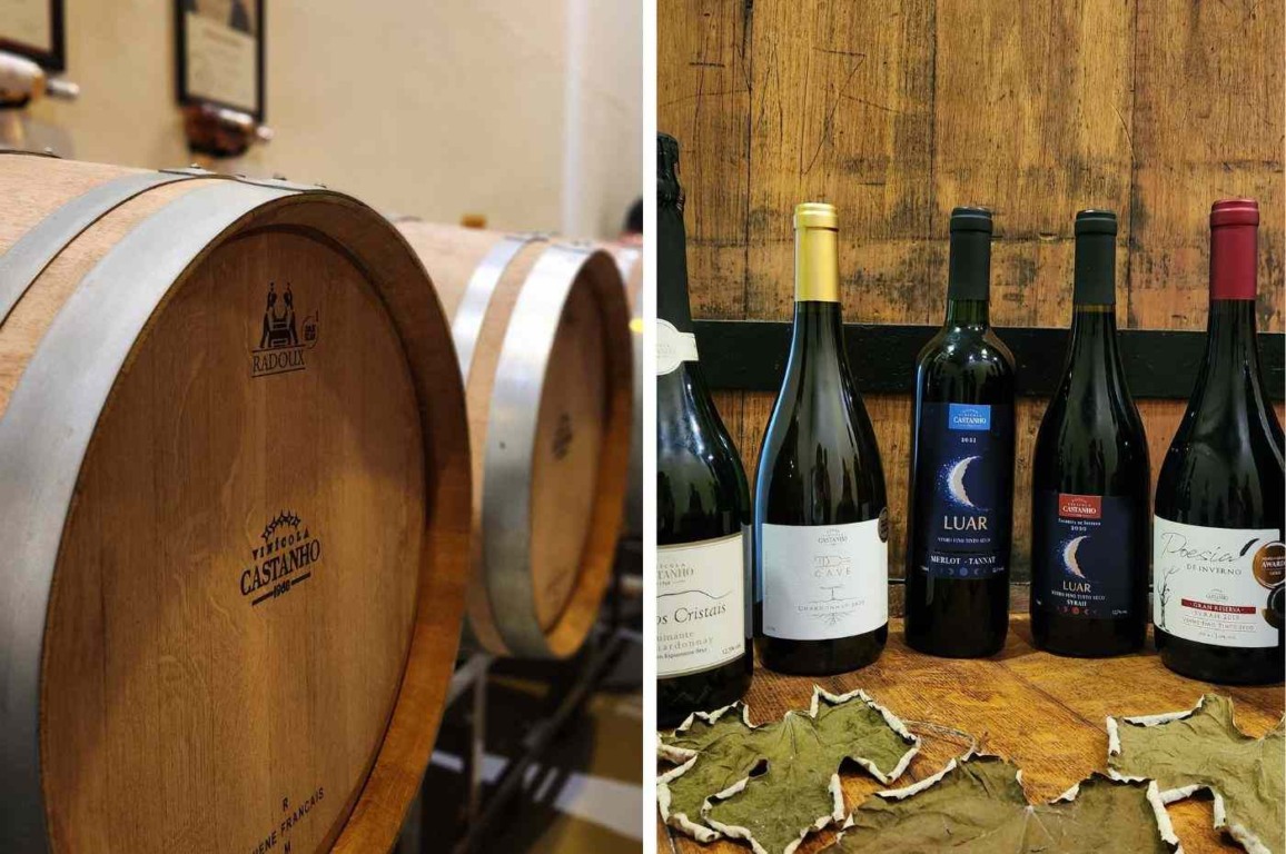 Embarque na rota dos sabores: Trem do Vinho leva você à Vinícola Castanho em Jundiaí Embarque na rota dos sabores: Trem do Vinho leva você à Vinícola Castanho em Jundiaí