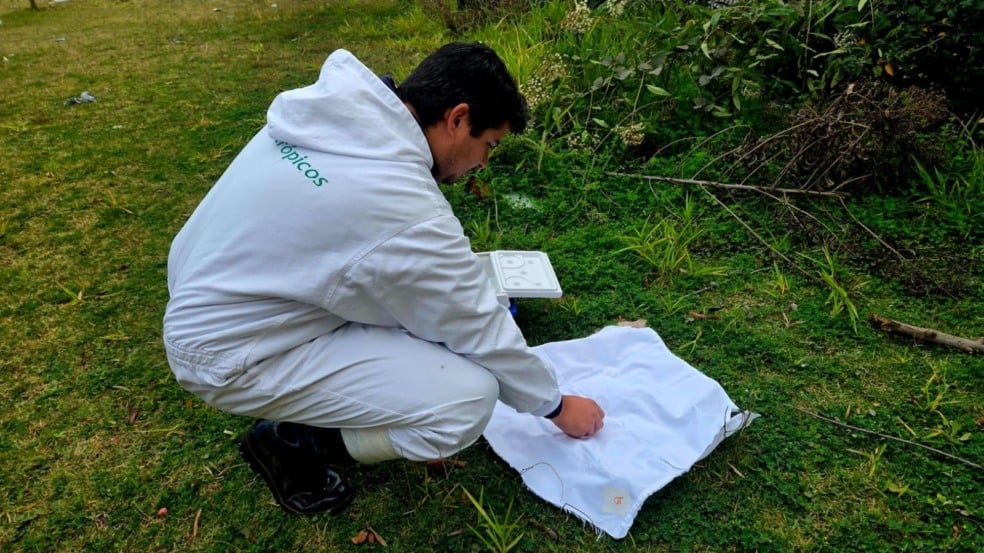 Agentes da VISAM colhendo carrapatos para testagem da Febre Maculosa.