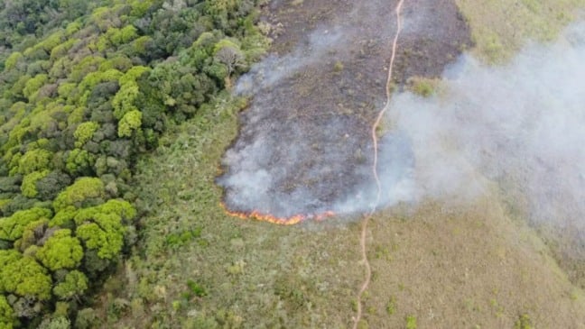 Imagem aérea da mata destruída pelo fogo na Serra do Mursa.