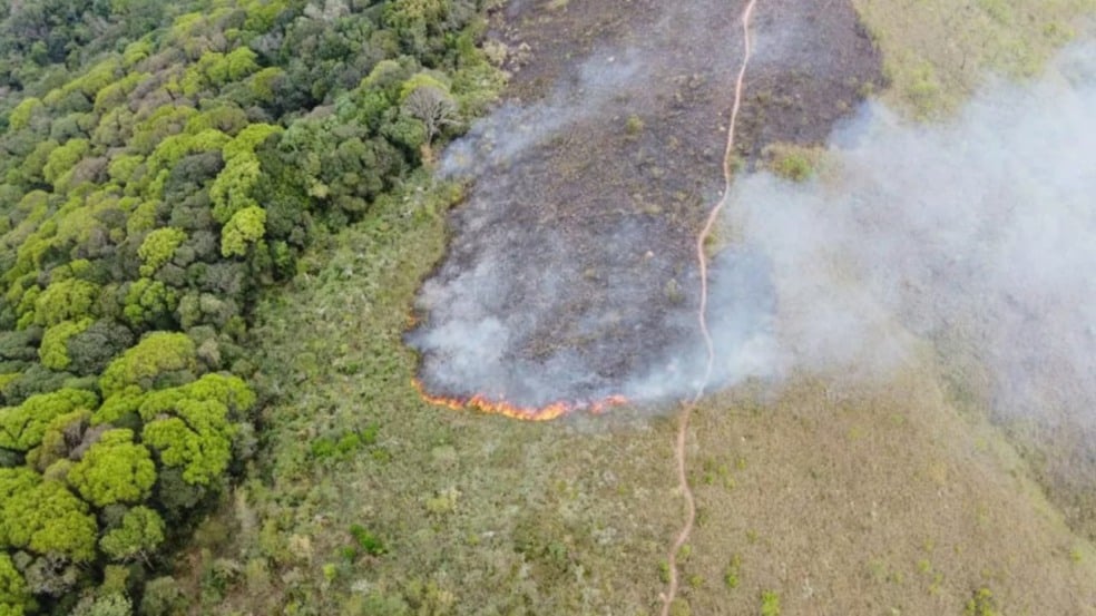 Imagem aérea da mata destruída pelo fogo na Serra do Mursa.