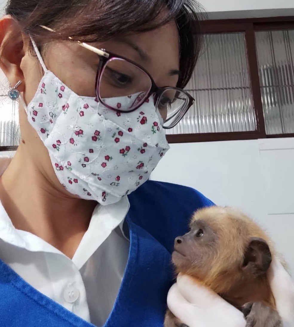 Veterinária Juliana Mori com o filhotinho resgatado