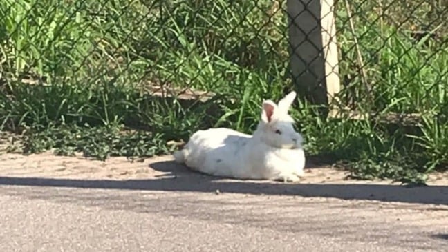 Foto: Juliana Rabelo/Arquivo Pessoal