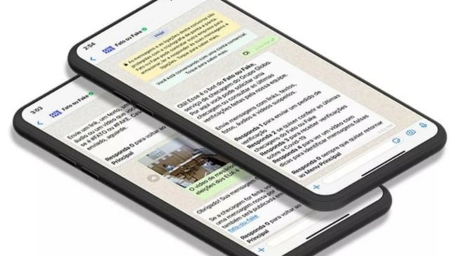 Representação da ferramenta do Fato ou Fake