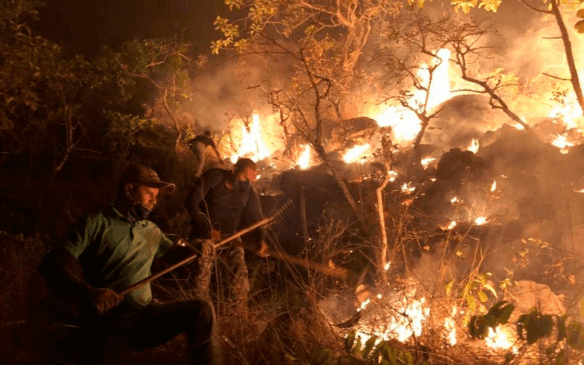 Bombeiros atuam na área desde sábado (5). (Foto: O Globo/Divulgação)