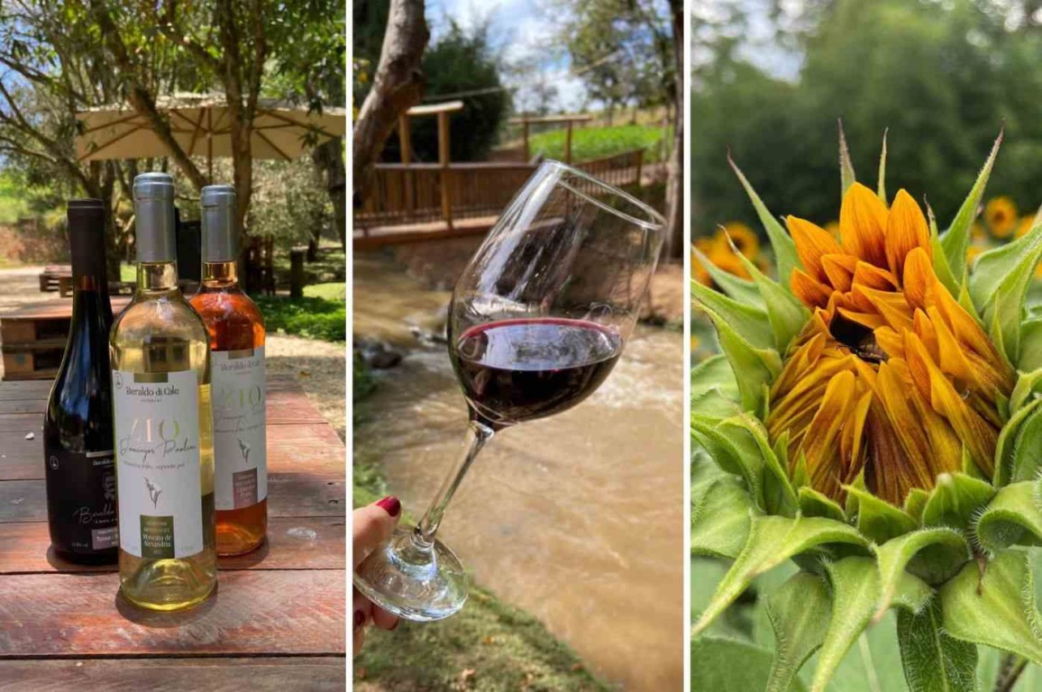 Último final de semana para visitar as novidades da Adega Beraldo di Cale na 39ª Festa da Uva de Jundiaí Último final de semana para visitar as novidades da Adega Beraldo di Cale na 39ª Festa da Uva de Jundiaí