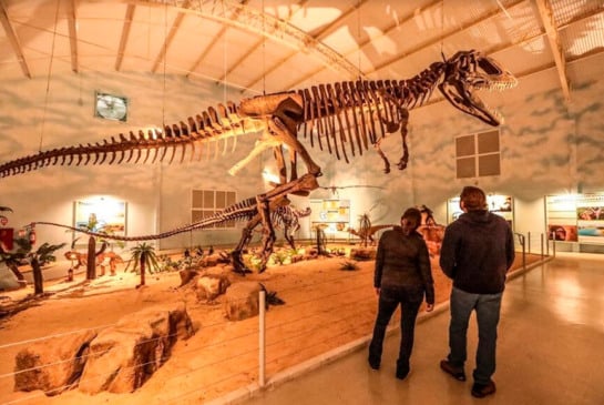 Zooparque Itatiba inaugura Museu Natural. (Foto: Divulgação)