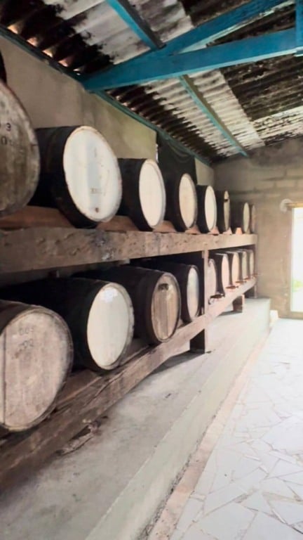 Alambique de Jundiaí é premiado em concurso de qualidade da Cachaça Paulista