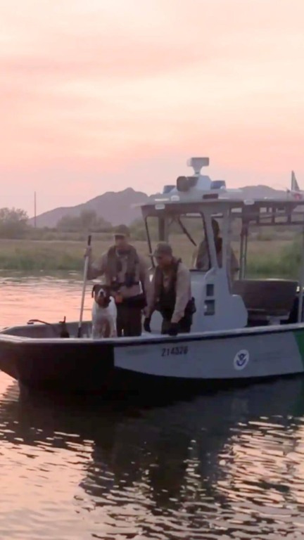 Cachorro é resgatado de rio