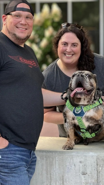 Bulldog amarrado a hidrante