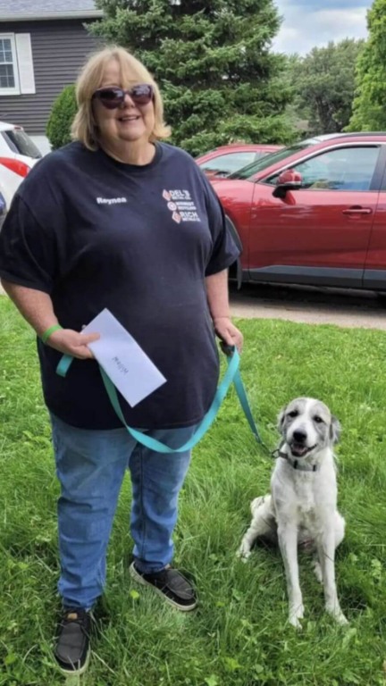 Cachorro careca resgatado em vala
