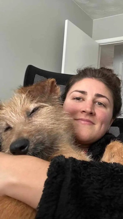 Cachorro com coluna quebrada é encontrado dentro de saco no lixão