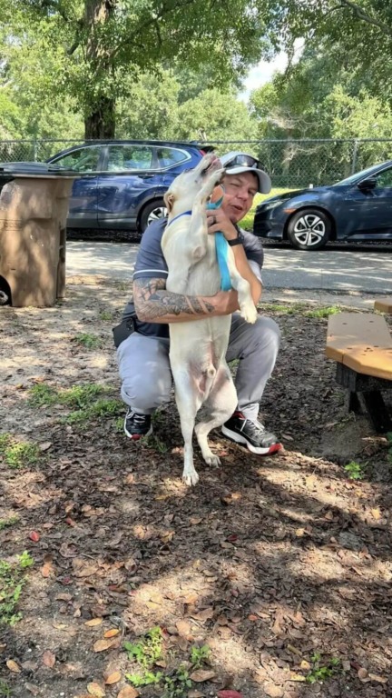 Cachorro estende a pata para todo mundo no abrigo