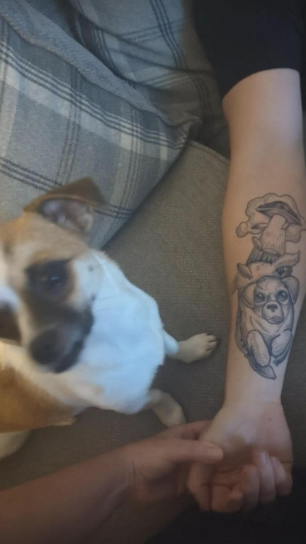 Cachorro perdido volta para casa após tutores passarem cinco dias grelhando seu petisco favorito