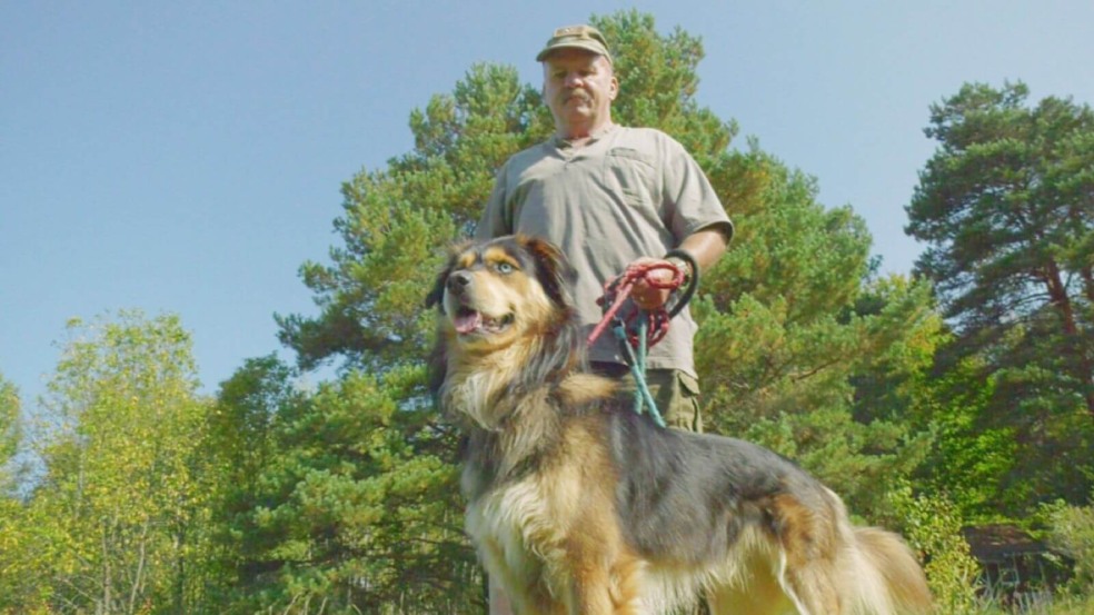 Cachorro salva vida de tutor que teve ataque cardíaco Cachorro salva vida de tutor que teve ataque cardíaco