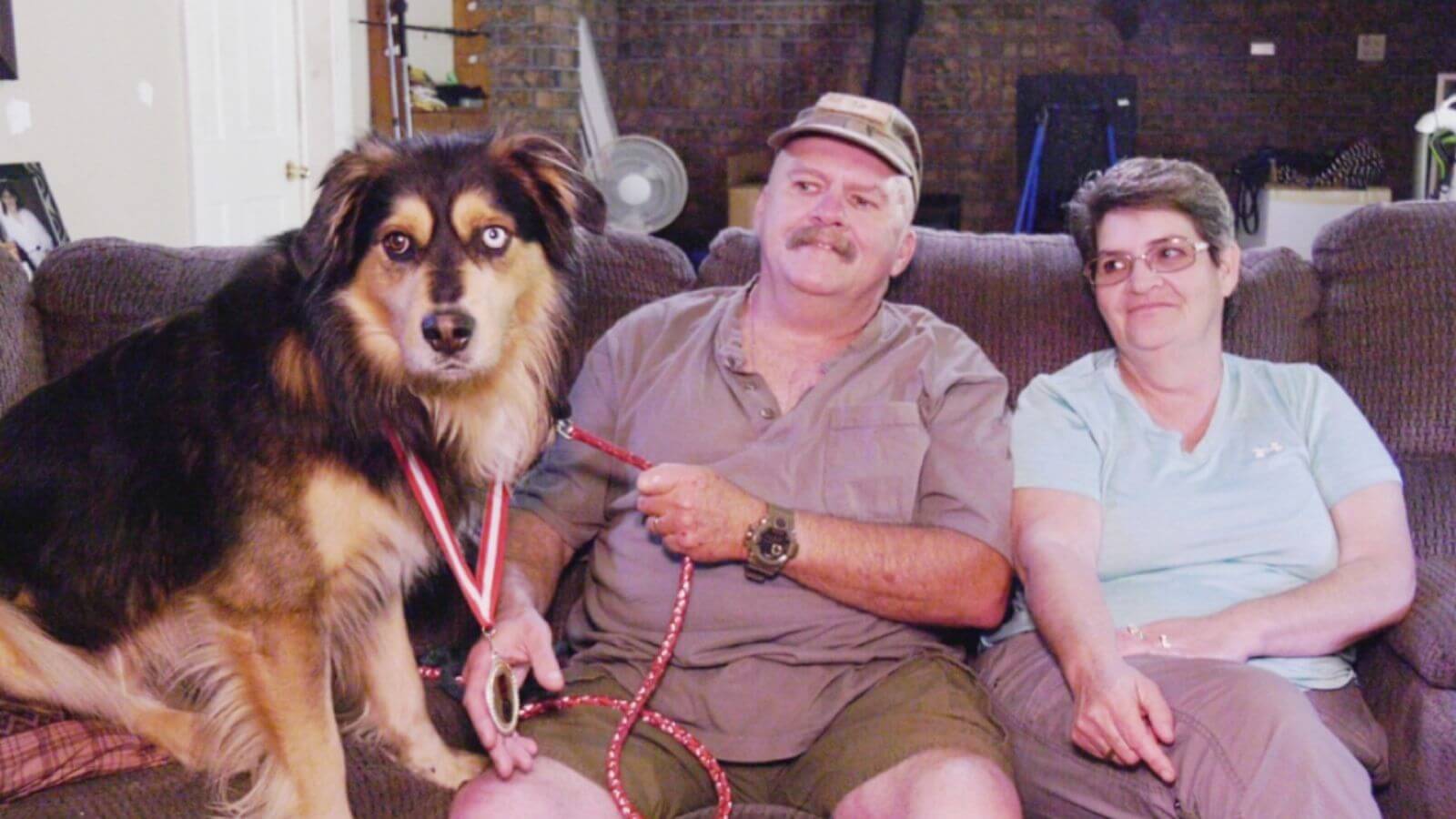 Cachorro salva vida de tutor que teve ataque cardíaco