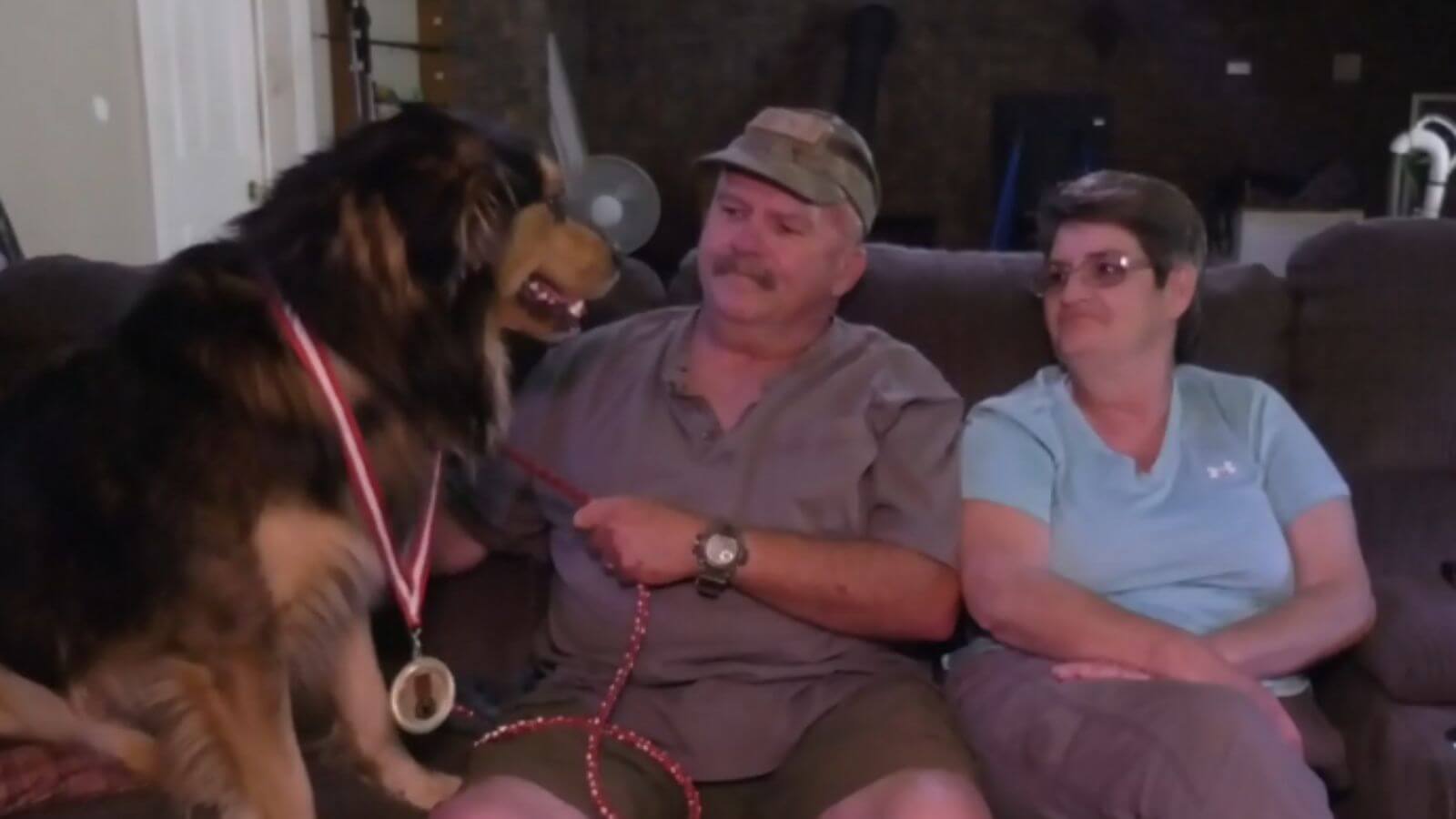 Cachorro salva vida de tutor que teve ataque cardíaco