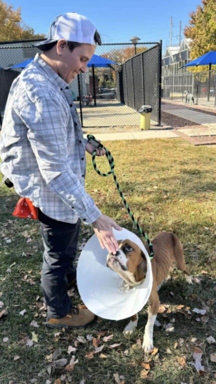 Cachorros acorrentados e sem comida esperam meses por um milagre