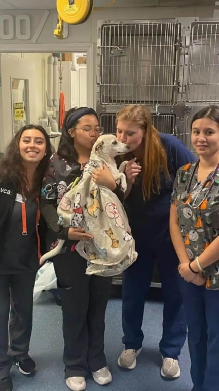 Câmera grava abandono de cachorro em estacionamento