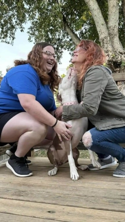Cão de rua que passava fome achava que tinha chegado ao fim mas ganhou um novo começo