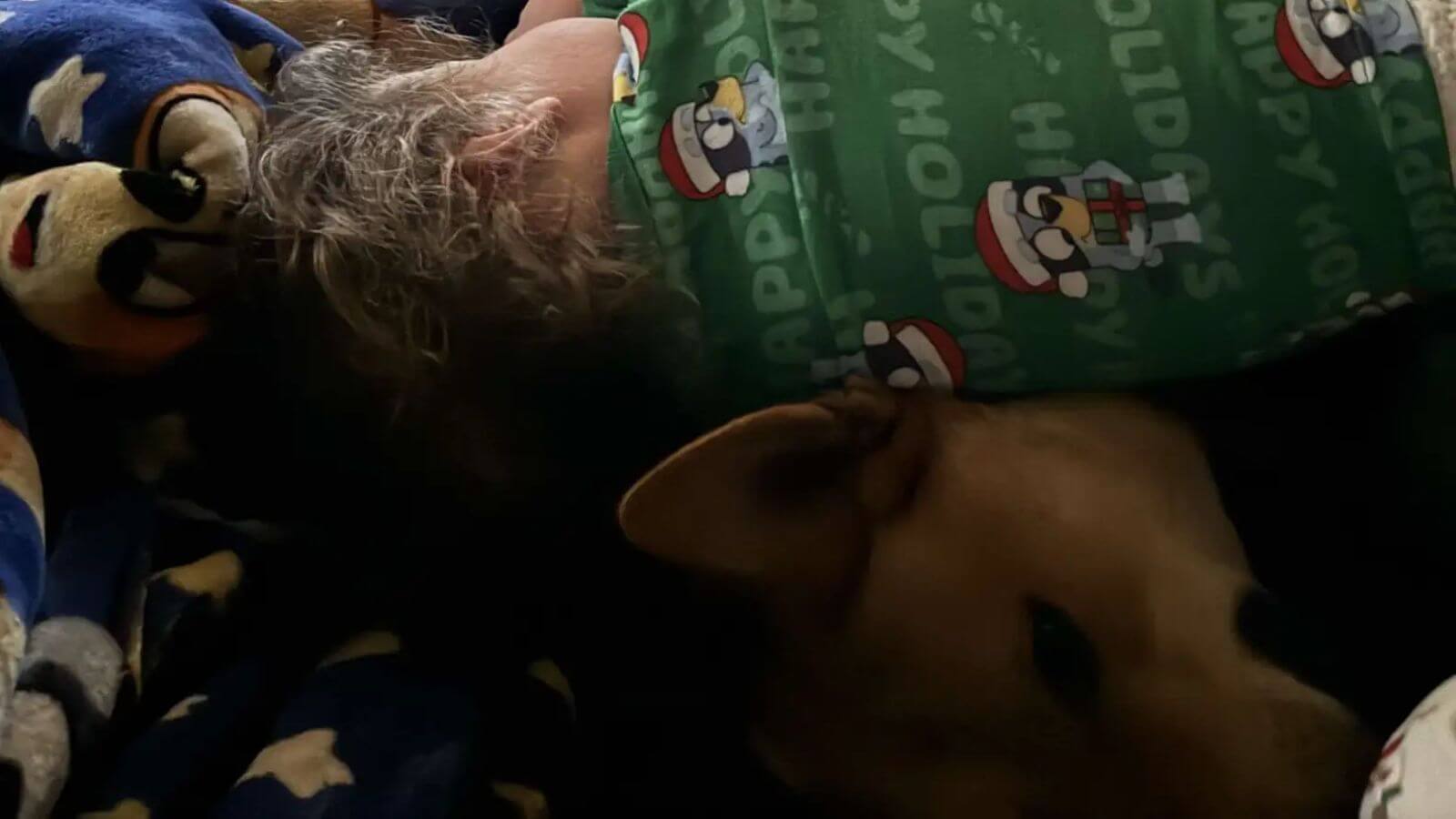 Cão de rua salva família que o adotou de incêndio na cozinha