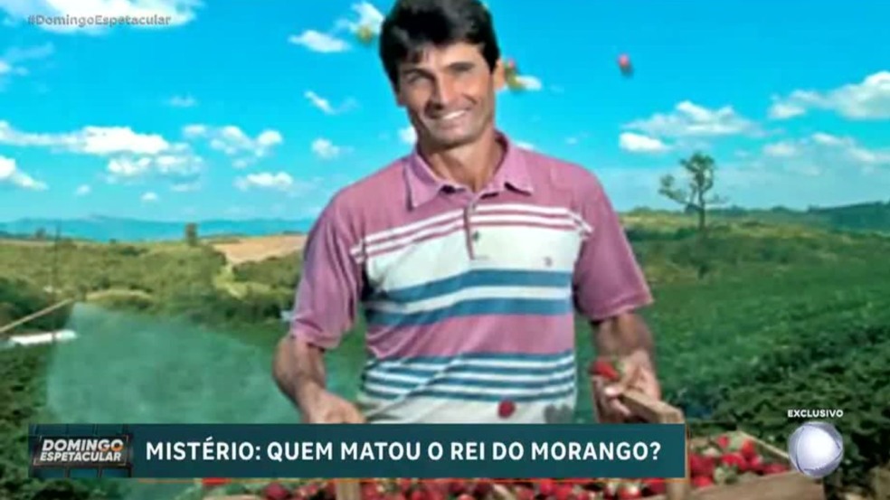 Rei do Morango Rei do Morango
