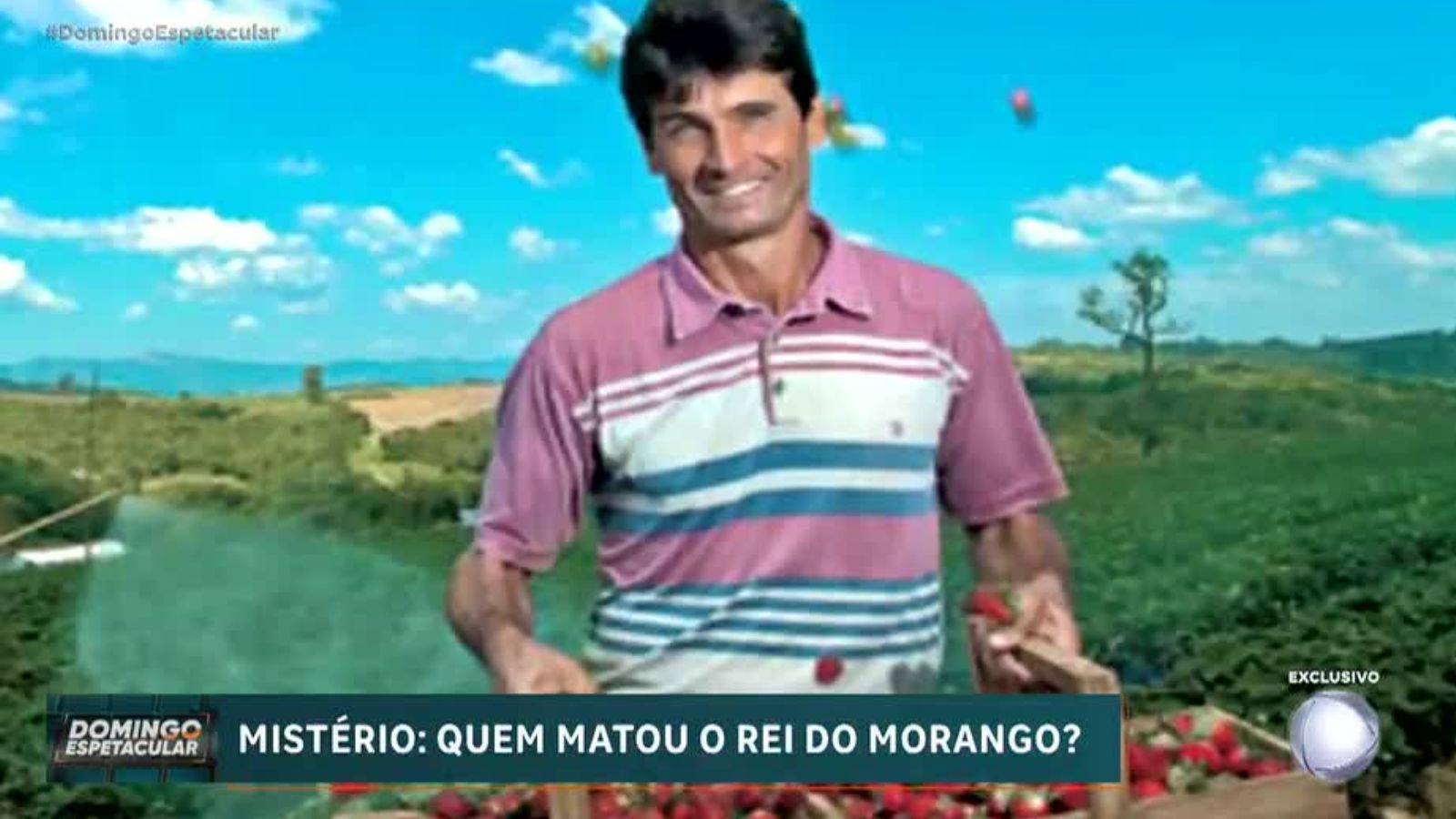 Rei do Morango