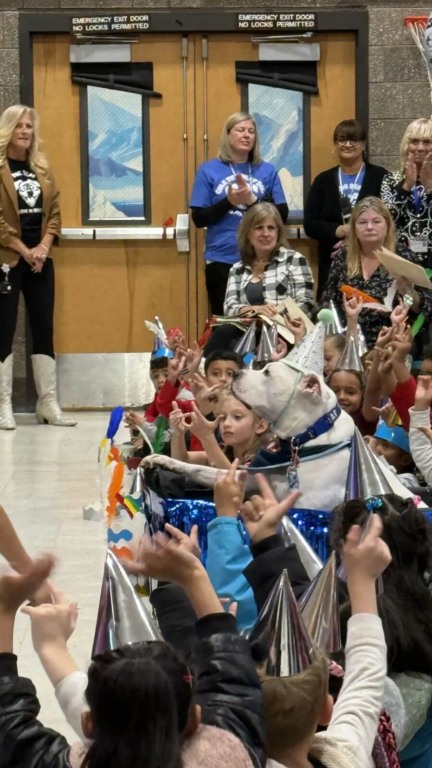 Crianças fazem surpresa de aniversário para o cão terapeuta surdo