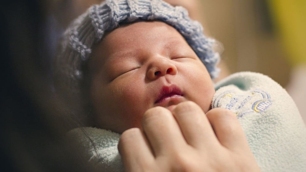 Foto: Canva Foto: Canva