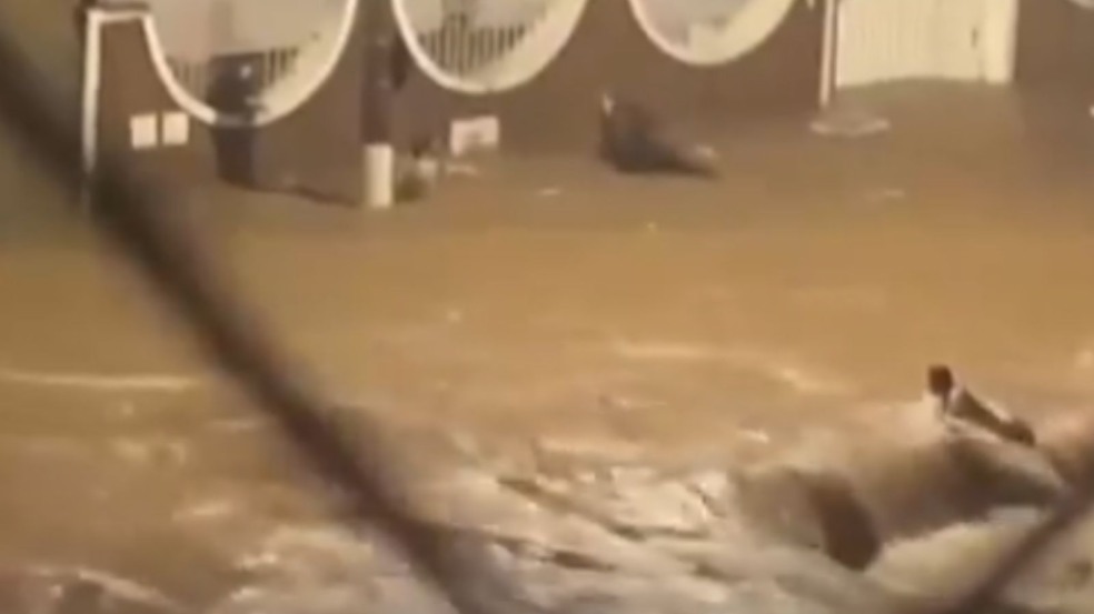 Mulher sendo levada por enxurrada em Campinas. Mulher sendo levada por enxurrada em Campinas.