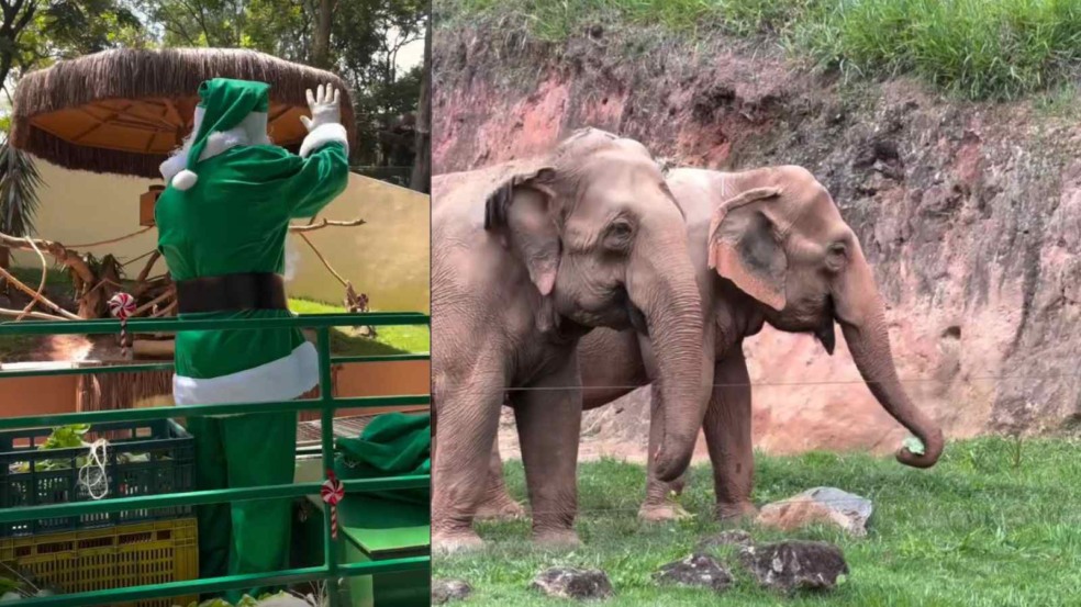 Papai Noel no Zooparque de Itatiba.
