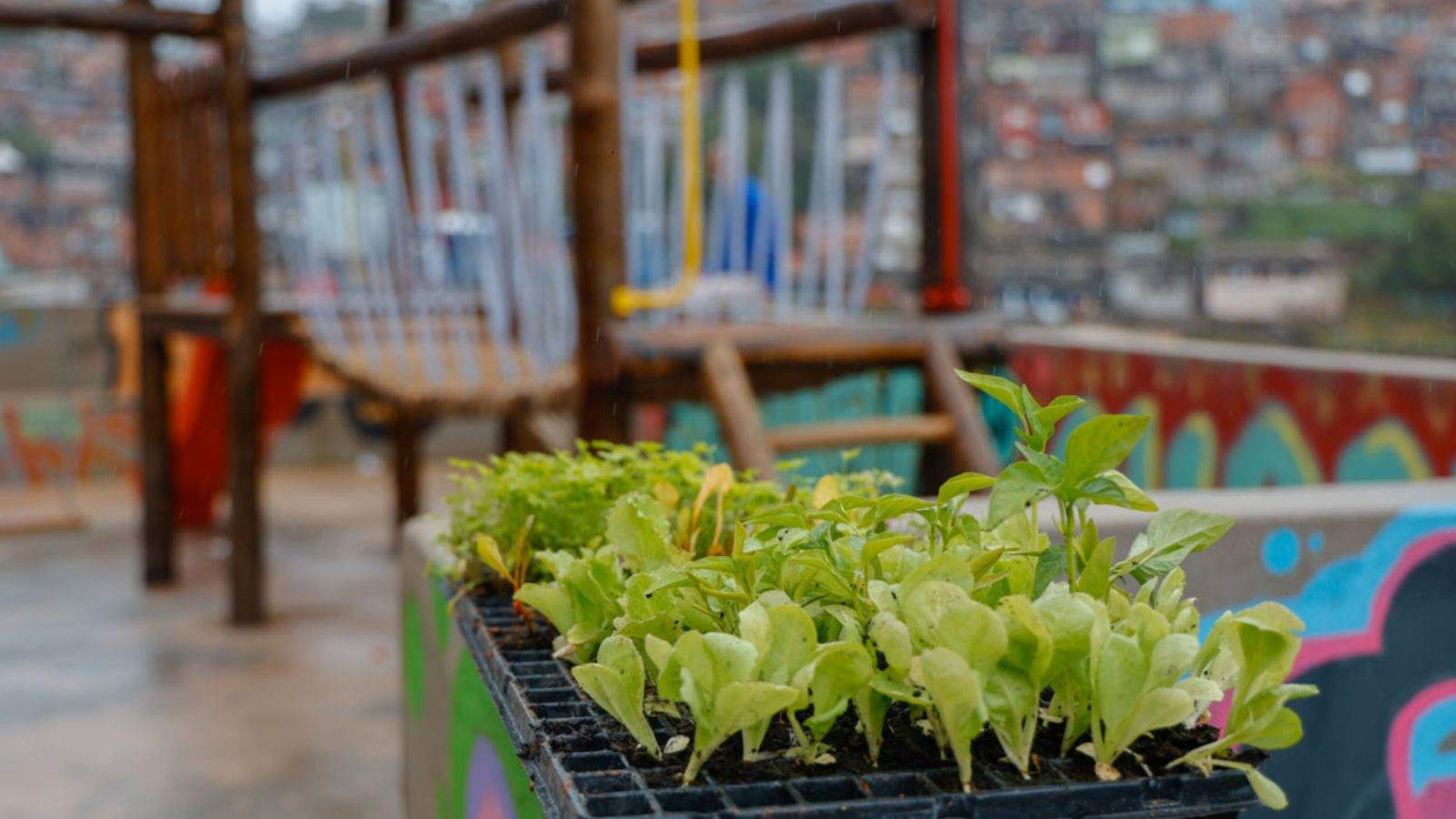 Espaço de lazer no Jardim São Camilo.