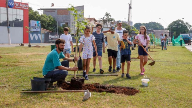 Ação do Programa Pé de árvore.