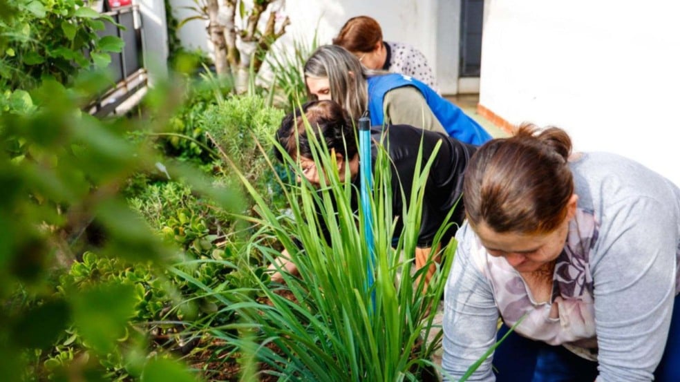 Uso das plantas medicinais em Jundiaí