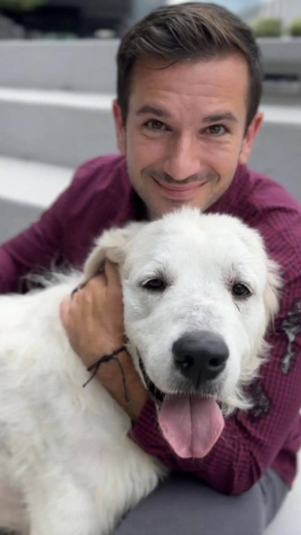 Esse cachorro estava doente e perdendo as esperanças - até que as pessoas certas chegaram